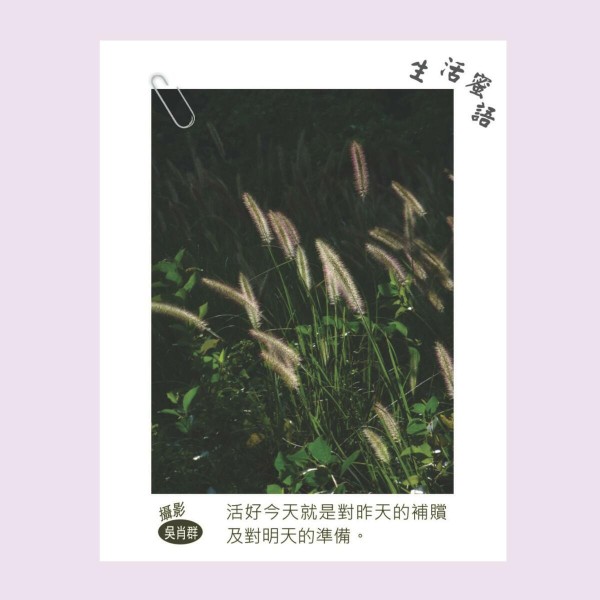 生活蜜語_11
